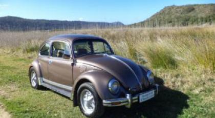 1975 Volkswagen 1600cc Twin Port - SOLD 2013